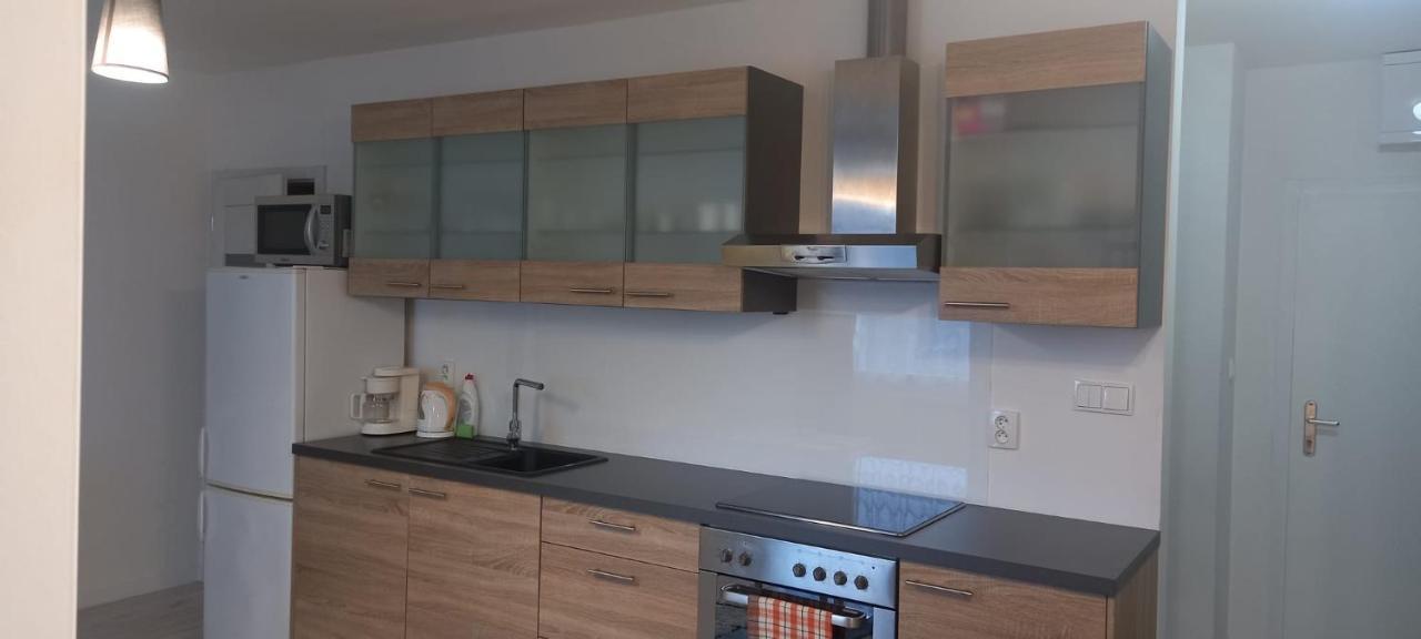 شقة Apartman Central بانْشكا بيشتريتْسا المظهر الخارجي الصورة