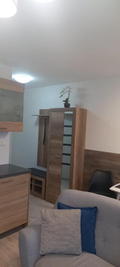 شقة Apartman Central بانْشكا بيشتريتْسا المظهر الخارجي الصورة