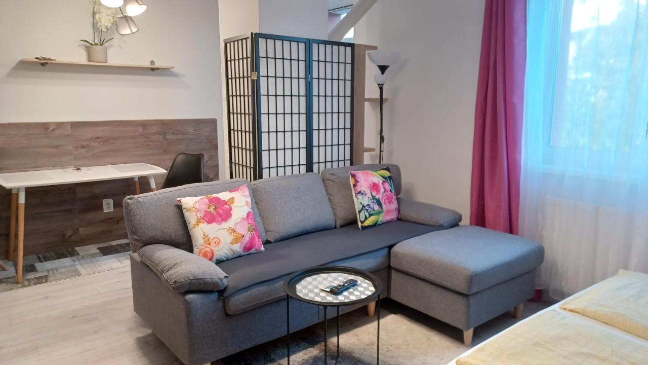 شقة Apartman Central بانْشكا بيشتريتْسا المظهر الخارجي الصورة